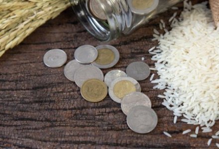 Наставление пятницы: как закят (мусульманский налог) и милостыня становятся инвестицией в вечную жизнь