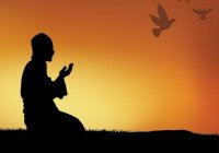 Перевод смыслов Корана: «Но кто поможет нам, если наказание Аллаха обрушится на нас»