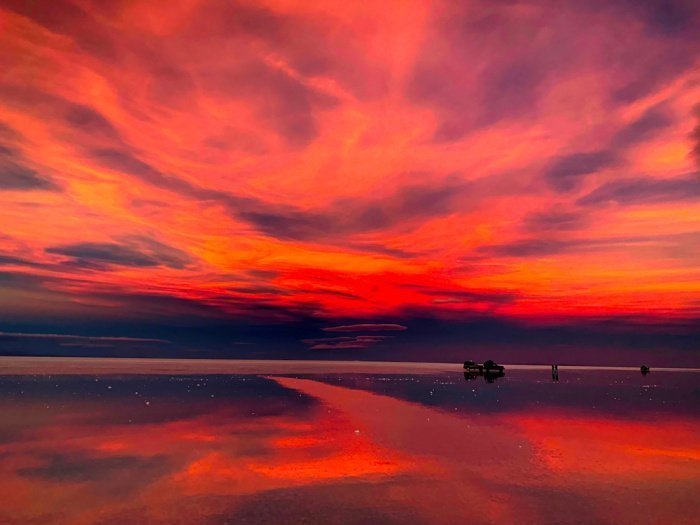 Фото: shutterstock.com. Автор: Lialina Olena