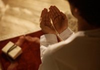 Перевод смыслов Корана: «Проси прощения за свой грех и возвеличивай хвалой своего Господа»