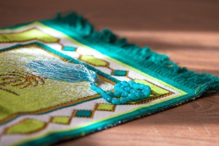 Фото: Leila Ablyazova / shutterstock.com