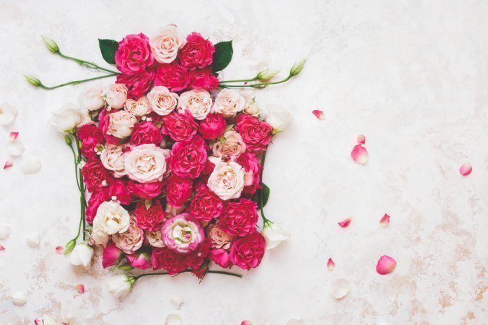 Фото: Slavica Stajic / shutterstock.com