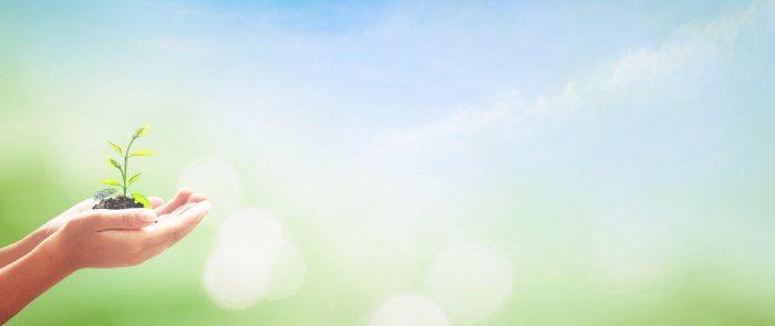 Фото: shutterstock.com. Автор: Jacob_09