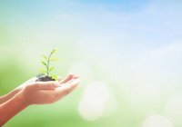 Перевод смыслов Корана: «Стоит Ему сказать: «Будь!» – как это исполняется»