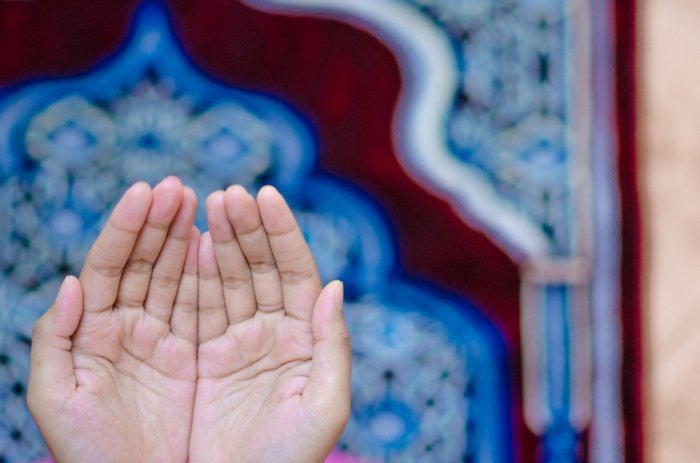 Фото: : Akmalism Photography / shutterstock.com