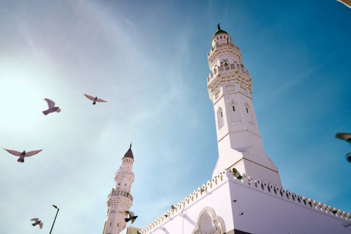 Фото: shutterstock.com, автор: Oussama JOUMNI