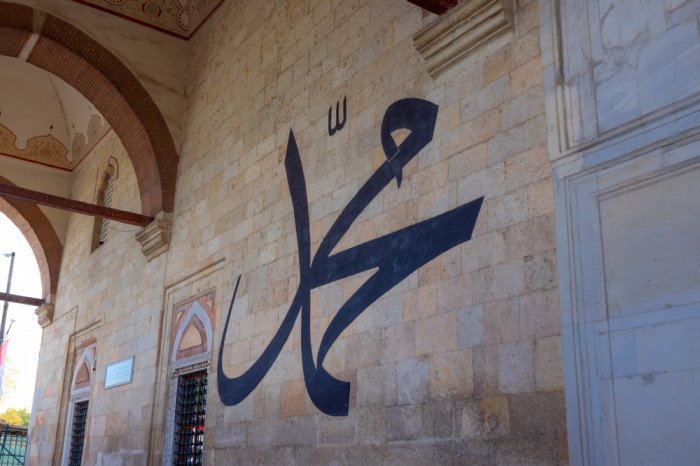 Фото: Sener Dagasan / shutterstock.com Фото: Sener Dagasan / shutterstock.com