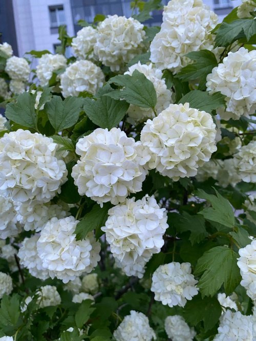 Фото: Ислам-тудей.