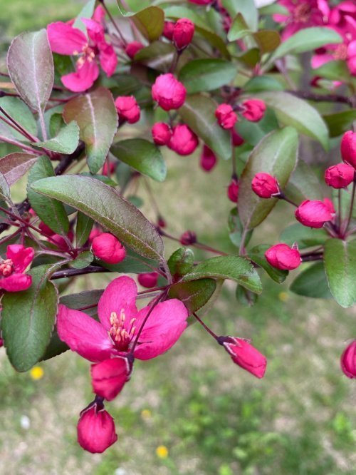 Фото: Ислам-тудей.