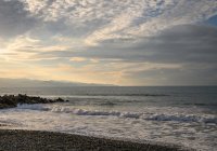 Морские звезды: удивительные творения, скрывающие тайну (Видео)