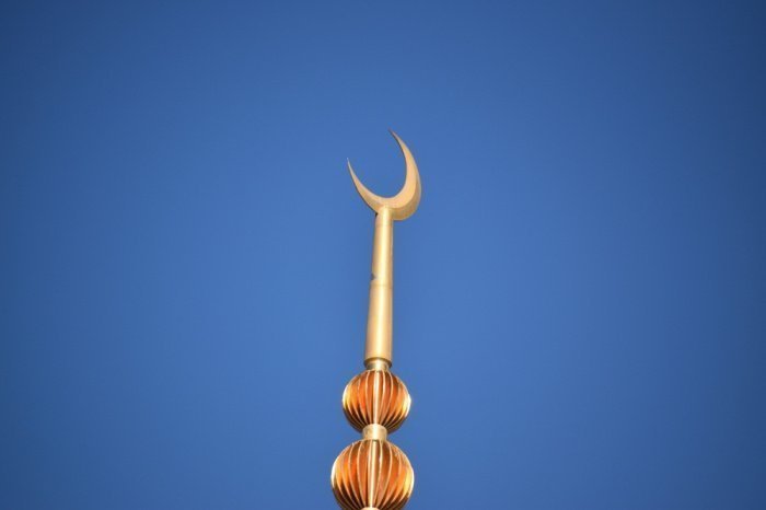 Фото: shutterstock.com. Автор: Donald Walker. Фото: shutterstock.com. Автор: Donald Walker.