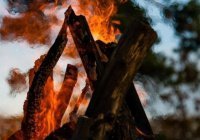 Кто сможет пройти по мосту Сират? (Видео)