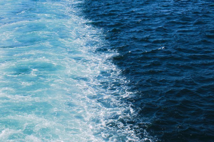 Фото: shutterstock.com. Автор: Mahmut D. Фото: shutterstock.com. Автор: Mahmut D.