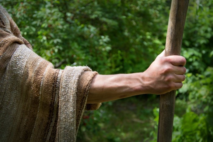 Фото: ArtMari / shutterstock.com Фото: ArtMari / shutterstock.com