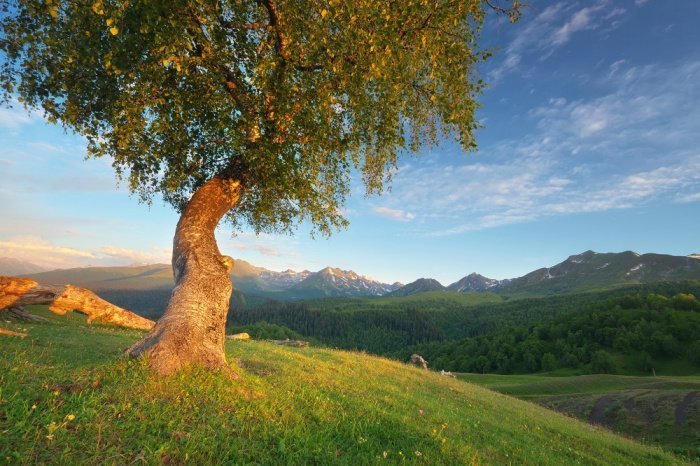 Фото: elements.envato.com, автор: rozum