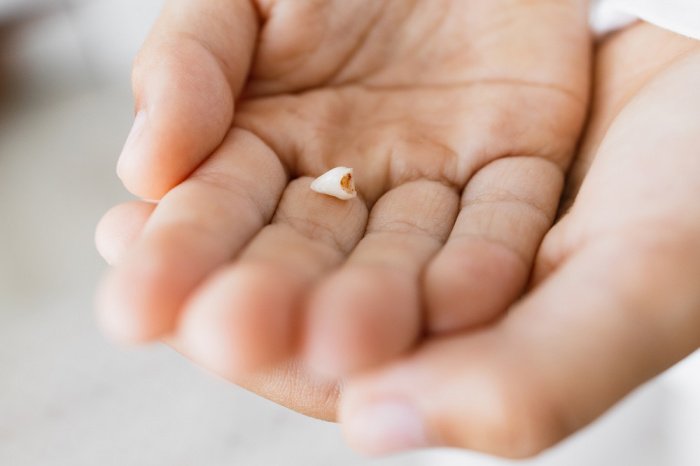 Фото: elements.envato.com, автор: sofiiashunkina