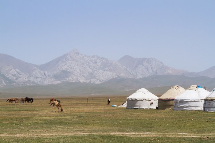 Фото: GreensandBlues / elements.envato.com/ru