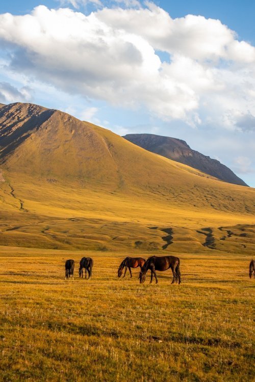 Фото: collab_media / elements.envato.com/ru