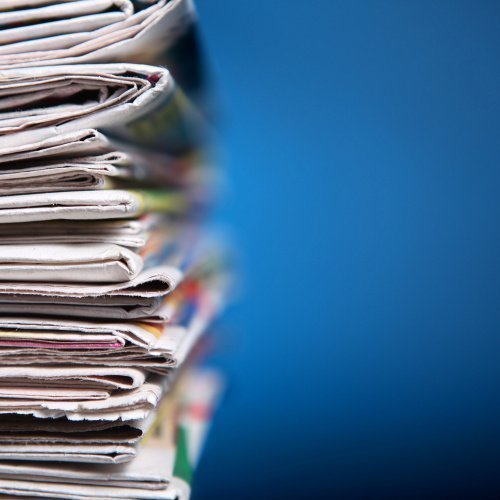 Фото: Denisenko / shutterstock.com