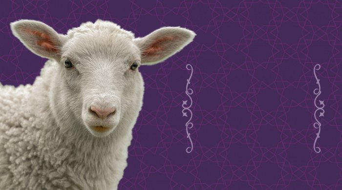 Фото: working.art / shutterstock.com