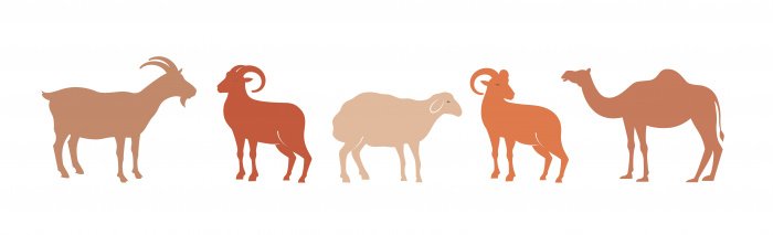 Фото: Marish / shutterstock.com