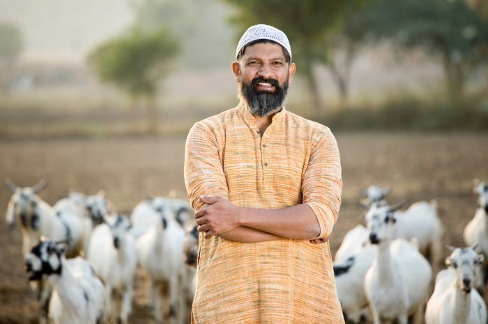 Фото: stockimagesbank / shutterstock.com