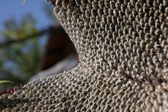 Фото: elements.envato.com. Автор: ShadowInspiration