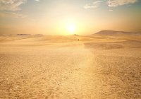 История пророков: как Муса (а.с.) встретил Сафуру