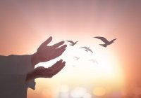 3 качества истинного верующего: чему учит ислам