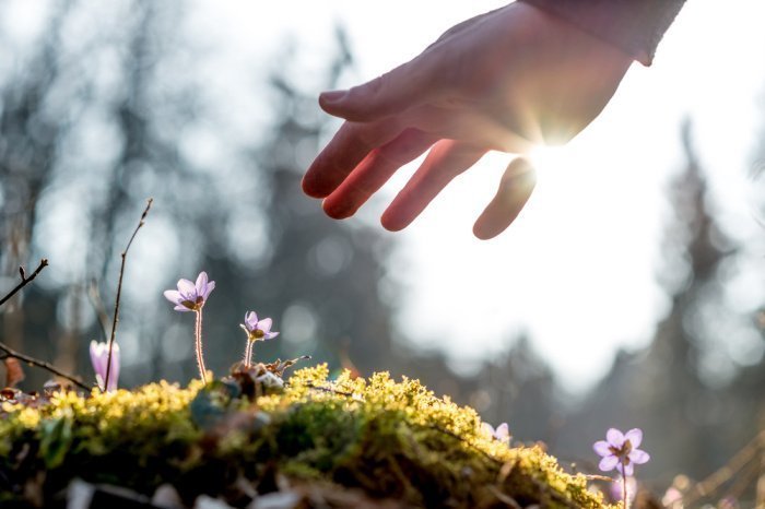 Фото: Gajus / shutterstock.com