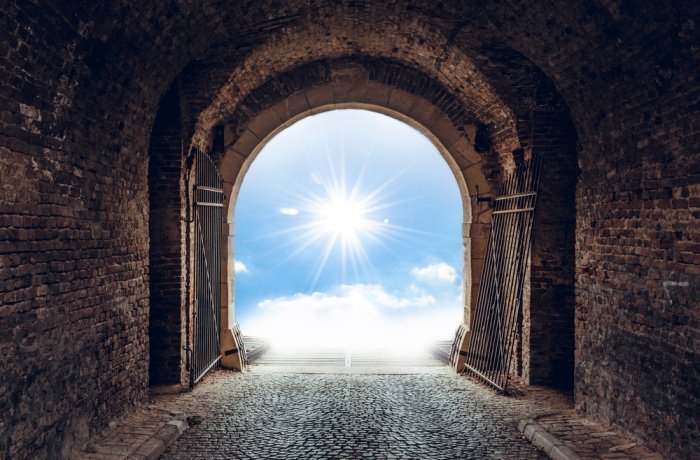 Фото: ltummy / shutterstock.com Фото: ltummy / shutterstock.com