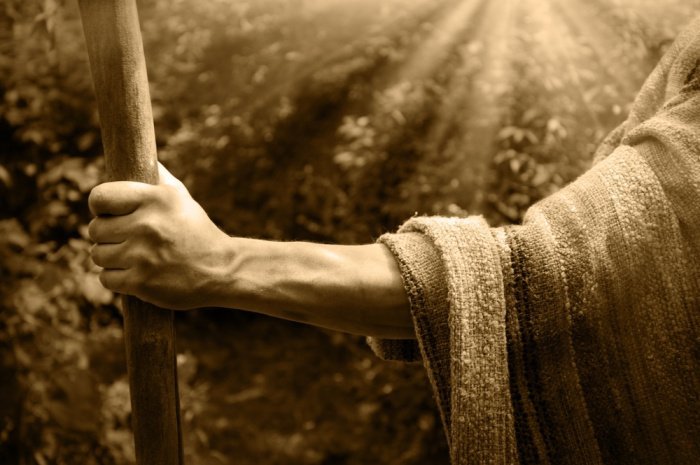 Фото: ArtMari / shutterstock.com