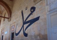  Наставление пятницы: «Если вы любите Аллаха, то следуйте за мной...»