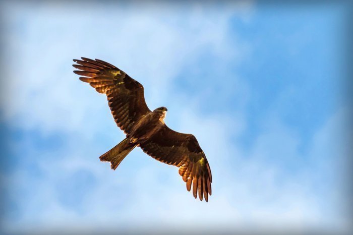 Фото: Alex44ARH / shutterstock.com Фото: Alex44ARH / shutterstock.com
