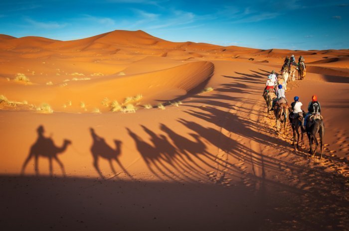 Фото: Dan Baciu / shutterstock.com Фото: Dan Baciu / shutterstock.com