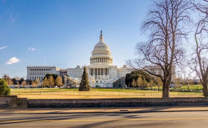 Фото: diegograndi / elements.envato.com