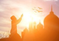 Виды грехов в Коране: чем большой грех отличается от малого