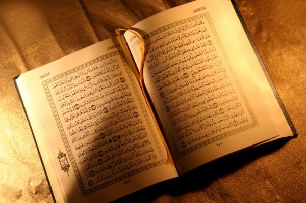 Можно ли сжечь Коран?