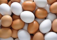 Могут ли куриные яйца быть не халяль?