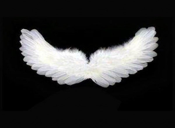 Как вера в ангелов помогает нам в самые нелегкие моменты жизни?