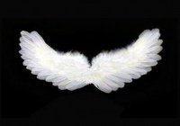 Как вера в ангелов помогает нам в самые нелегкие моменты жизни? 