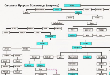 Предки пророка. Родословная пророка Мухаммада. Генеалогическое Древо пророка Мухаммеда. Родословная пророка Мухаммада от Адама. Родословная от Адама до Мухаммада.