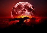 Пользователи со всего мира делятся своими фотографиями «кровавой луны» 