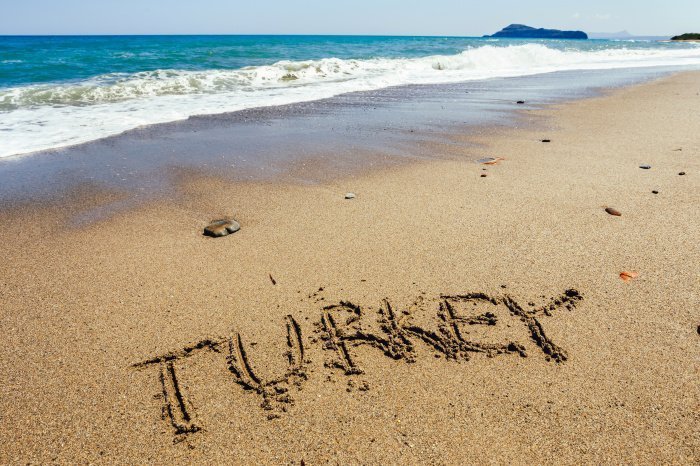 Фото: GreensandBlues / elements.envato.com