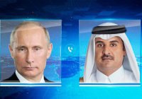 Ситуацию в Сирии обсудили президент России и эмир Катара