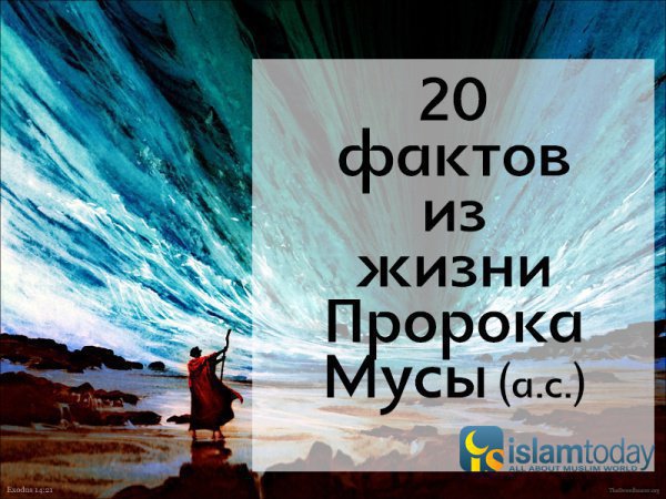 20 фактов из жизни Пророка Мусы (а.с.)