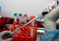 Студенты-медики инициировали создание реестра доноров стволовых клеток