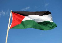 Ирландия признала Палестину государством