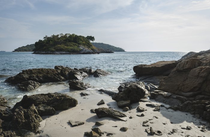 Фото: Rawpixel / elements.envato.com 