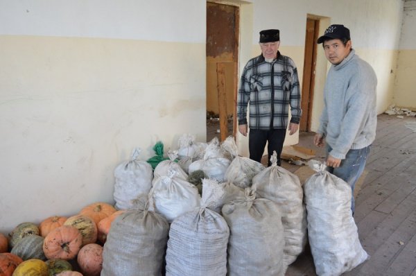Мусульмане Татарстана обеспечивают нуждающихся овощами. 